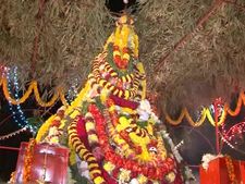  ಬಾನವಳ್ಳಿ ಉಣ್ಣಕ್ಕಿ ಉತ್ಸವದಲ್ಲಿ ಅಲುಗಾಡುವ ಹುತ್ತ, ನಾಗಪ್ಪನ ಮಾಯೆಗೆ ಬೆರಗಾದ ಜನ