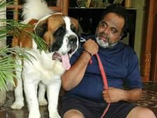 ಅಂಬಿ ನೀನು ಸಾಕಿದ ಶ್ವಾನಗಳು ನಿನ್ನ ಮರೆಯಲ್ವೋ! 