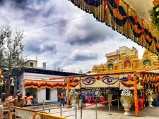 ಹಾಸನಾಂಬೆ ದರ್ಶನಕ್ಕೆ ತೆರೆ: ಭಕ್ತರಿಗೆ ಸಚಿವರು, ವಿಐಪಿಗಳದ್ದೇ ರಗಳೆ ಆಗೋಯ್ತು
