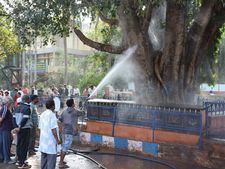 ಧಾರವಾಡ : ಜನರಿಂದ ಶತಮಾನ ಕಂಡ ಅರಳಿಮರದ ಕಟ್ಟೆ ಸ್ವಚ್ಛ 