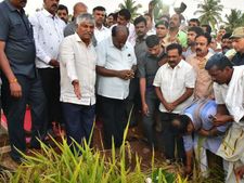 ಮಂಡ್ಯ: ಭತ್ತದ ಕೊಯ್ಲಿಗೆ ತಡವಾಗಿ ಬಂದ ಸಿಎಂ, ವಾಪಸ್ ಹೊರಟ ರೈತರು 
