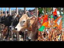 ಬಿಜೆಪಿ ಆಡಳಿತದ ರಾಜ್ಯಗಳಲ್ಲಿ 'ಬೀಫ್' ತಿನ್ನೋದೇ ಒಂದು ಖುಷಿ, ಗುಹಾ