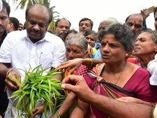 ಮಂಡ್ಯ : ಡಿ.7ರಂದು ಭತ್ತ ಕಟಾವು ಮಾಡಲಿದ್ದಾರೆ ಕುಮಾರಸ್ವಾಮಿ 