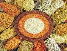  ಜನವರಿ 21 ರಿಂದ ಕುಂದಾಪುರದಲ್ಲಿ ಸಿರಿಧಾನ್ಯ ಮೇಳ