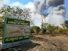 ಬಂಡೀಪುರ ಕಾಳ್ಗಿಚ್ಚು, ಬೆಂಕಿ ನಂದಿಸಲು ಹರಸಾಹಸ