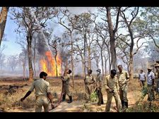 ಬೆಂಕಿಗೆ ಹೊತ್ತಿ ಉರಿಯುತ್ತಿದೆ ಬಂಡೀಪುರ: ಮೈಸೂರು, ಊಟಿ ರಸ್ತೆ ಬಂದ್ 