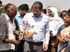 ಬರ, ಹಿಂಗಾರು ಬೆಳೆ ನಷ್ಟ : ಧಾರವಾಡದಲ್ಲಿ ಕೇಂದ್ರ ತಂಡ ಪರಿಶೀಲನೆ 