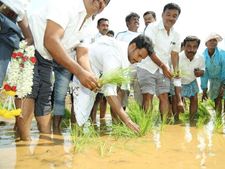 ಪಂಚೆ ಕಟ್ಟಿ ಗದ್ದೆಗಿಳಿದು ಭತ್ತ ನಾಟಿ ಮಾಡಿದ ನಿಖಿಲ್ ಕುಮಾರಸ್ವಾಮಿ