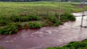 ಚಾಮರಾಜನಗರ ಜಿಲ್ಲೆಯಲ್ಲಿ ಸುರಿದ ಧಾರಾಕಾರ ಮಳೆ; ಜಮೀನುಗಳು ಜಲಾವೃತ 