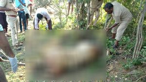 ಚಾಮರಾಜನಗರದ ಒಂಟಿಗುಡ್ಡದಲ್ಲಿ ಹುಲಿ- ಚಿರತೆಯ ಕಳೇಬರಗಳು ಪತ್ತೆ 
