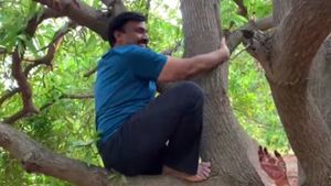 ಮರ ಹತ್ತಿ ಮಾವಿನ ಹಣ್ಣು ಕಿತ್ತ ಜನಾರ್ದನ ರೆಡ್ಡಿ ವಿಡಿಯೋ ವೈರಲ್!