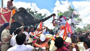 ಆನೆಯಿಂದ ಮಾಲಾರ್ಪಣೆ: ಇನ್ನು ಕುಮಾರಸ್ವಾಮಿಯನ್ನು ತಡೆಯುವವರು ಯಾರು? 