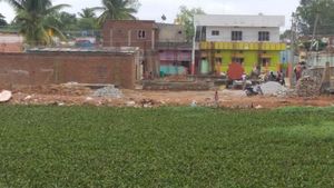  ನುಂಗಣ್ಣರ ಪಾಲಾಗಿದೆ ಚನ್ನಪಟ್ಟಣದ ಶೆಟ್ಟಿಹಳ್ಳಿ ಕೆರೆ