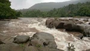  ಪಶ್ಚಿಮ ಘಟ್ಟದಲ್ಲಿ ಮಳೆ; ತುಂಬಿ ಹರಿದಿವೆ ತುಂಗಾ-ಭದ್ರಾ