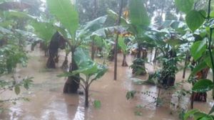 ಕಳೆದುಕೊಂಡಿದ್ದು ಲಕ್ಷ ಲಕ್ಷ; ಆದರೆ ಬಂದಿದ್ದು 1,350 ಪರಿಹಾರ!