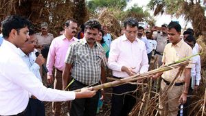 ಬಾಗಲಕೋಟೆ : ಕೇಂದ್ರ ತಂಡದಿಂದ ಪ್ರವಾಹದಿಂದ ಆದ ನಷ್ಟದ ಅಂದಾಜು 
