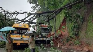  ಶಾಲಾ ಬಸ್ ಮೇಲೆ ಉರುಳಿದ ಮರ, ಎಲ್ಲಾ ವಿದ್ಯಾರ್ಥಿಗಳು ಸುರಕ್ಷಿತ 