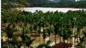 ಚಿಕ್ಕಮಗಳೂರಿನ ಮಳೆ ಚಿತ್ರ: ಜೋರು ಮಳೆ, ಭೂಕುಸಿತ, ಎಲ್ಲೆಲ್ಲೂ ನೀರು...