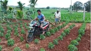 ಬೈಕ್ ನಲ್ಲೇ ಉಳುಮೆ ಮಾಡಿದ ದಾವಣಗೆರೆ ರೈತ