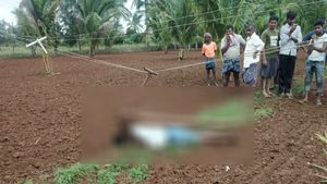  ನೇಗಿಲಿಗೆ ವಿದ್ಯುತ್ ತಂತಿ ಸ್ಪರ್ಶಿಸಿ ರೈತ ಸಾವು