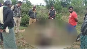 ಜಡಗನಹಳ್ಳಿ ಬಳಿ ಚಿರತೆ ದಾಳಿಗೆ ನಾಲ್ಕು ಕುರಿ ಬಲಿ; ಜನರಲ್ಲೂ ಆತಂಕ