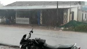  ಚಿಕ್ಕಮಗಳೂರಿನಲ್ಲಿ ಮತ್ತೆ ಮಳೆ; ಗಾಯದ ಮೇಲೆ ಬರೆ?