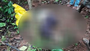ಎಷ್ಟು ಅಲೆದರೂ ಸಿಗದ ಪರಿಹಾರ; ಮೂಡಿಗೆರೆಯಲ್ಲಿ ಗುಂಡಿಕ್ಕಿಕೊಂಡು ರೈತ ಆತ್ಮಹತ್ಯೆ