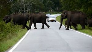 ಕರ್ನಾಟಕ ಕೇರಳ ನಡುವೆ ರಾತ್ರಿ ಮಾತ್ರ ಸಂಚಾರ ಬಂದ್ 