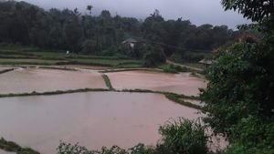  ಮಲೆನಾಡಿನಲ್ಲಿ ಆರ್ಭಟಿಸಿದೆ ಮಳೆ; ಆವರಿಸಿದ ಭೀತಿ