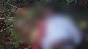 ಚೌಡಹಳ್ಳಿಯಲ್ಲಿ ಮತ್ತೆ ಹುಲಿ ದಾಳಿ; ತಿಂಗಳಲ್ಲೇ ಮತ್ತೊಬ್ಬ ರೈತ ಬಲಿ
