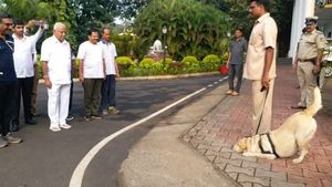 ಸಿಎಂಗೆ ಸಲ್ಯೂಟ್ ಮಾಡಿದ ಶ್ವಾನ; ನಕ್ಕು ನಮಸ್ಕರಿಸಿದ ಯಡಿಯೂರಪ್ಪ