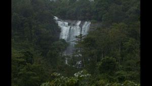 ಕೊಡಗಿನ ಚೇಲಾವರದ ಜಲಧಾರೆಯನ್ನರಸುತ್ತಾ...