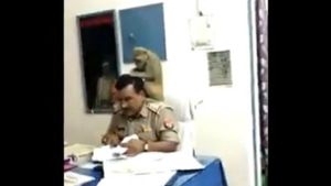 ವಿಡಿಯೋ: ಇದಪ್ಪ ತಾಕತ್ತು! ಪೊಲೀಸನ ತಲೆ ಹತ್ತಿ ಹೇನು ಆರಿಸಿದ ಕೋತಿ