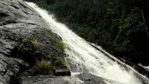ಹಿಂಗಾರು ಮಳೆಗೆ ಹಿಗ್ಗಿ ಹರಿವ 'ಕಲ್ಯಾಳ’ ಜಲಧಾರೆ 