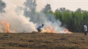 ಕಸ ಸುಟ್ಟಿದ್ದಕ್ಕಾಗಿ ಮಥುರಾದಲ್ಲಿ 16 ರೈತರ ಬಂಧನ