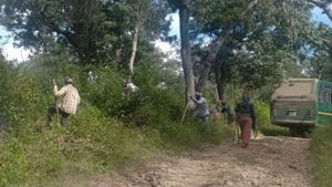  ಬಂಡೀಪುರದಲ್ಲಿ ಅಗ್ನಿ ಅನಾಹುತ ತಡೆಗೆ 