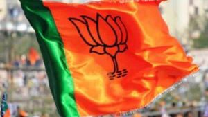 ಕಪಾಲ ಬೆಟ್ಟಕ್ಕೆ ಬಿಜೆಪಿ ನಿಯೋಗ ಭೇಟಿ 