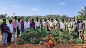 ಜಾತ್ರೆಯಲ್ಲಿ ಮಾರಲೆಂದು ಇದನ್ನು ಬೆಳೆದರಾ ಈ ದಂಪತಿ...