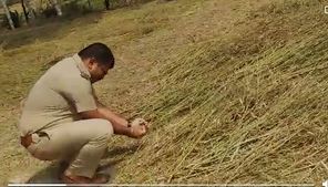 ರಸ್ತೆಯಲ್ಲಿ ತೊಗರಿ ಒಣಹಾಕಿದ್ದ ರೈತರಿಗೆ ಬಿಸಿ ಮುಟ್ಟಿಸಲು ಪಿಎಸ್ಐ ಮಾಡಿದ್ದೇನು?