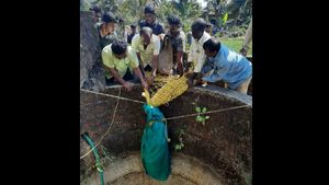  ಕುಮಟಾ; ಬೆಳ್ಳಂಬೆಳಿಗ್ಗೆ ಬಾವಿಯಲ್ಲಿ ಬಗ್ಗಿ ನೋಡಿದವರಿಗೆ ಕಾದಿತ್ತು ಆಶ್ಚರ್ಯ