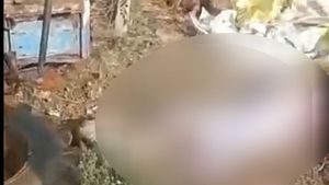  ಹಿರೇಹಡಗಲಿಯಲ್ಲಿ ಮದುವೆ ದಿಬ್ಬಣದ ಟ್ರ್ಯಾಕ್ಟರ್ ಮಗುಚಿ ನಾಲ್ವರ ಸಾವು