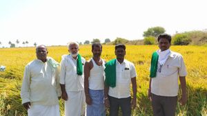ಕೊರೊನಾದ ಬಿಸಿ; ಭತ್ತ ಬೆಳೆದ ಬಳ್ಳಾರಿ ರೈತರು ಕಂಗಾಲು