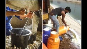 ಬೆಳಗಾವಿಯಲ್ಲಿ ಸಾವಿರಾರೂ ಲೀಟರ್ ಹಾಲು ಕಾಲುವೆ ಪಾಲಾಯ್ತು