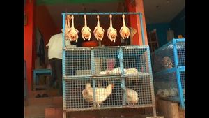 ಕೊರೊನಾ ಎಫೆಕ್ಟ್: ಕೋಲಾರದಲ್ಲಿ ಕೋಳಿಗಳ ಮಾರಣಹೋಮ