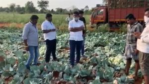  ಸಂಕಷ್ಟದಲ್ಲಿದ್ದ ಚನ್ನಪಟ್ಟಣ ರೈತನ ಫಸಲು ಖರೀದಿಸಿದ ಸಂಸದ ಡಿ.ಕೆ.ಸುರೇಶ್