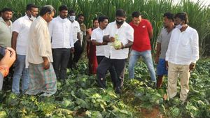  ಮಂಡ್ಯ ರೈತರಿಂದಲೂ ತರಕಾರಿ ಖರೀದಿಸಿದ ಸಂಸದ ಡಿ.ಕೆ.ಸುರೇಶ್