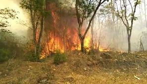 ಸೋಮವಾರಪೇಟೆ; ದುಷ್ಕರ್ಮಿಗಳ ಕೃತ್ಯಕ್ಕೆ ಆಹುತಿಯಾದ ನೂರಾರು ಎಕರೆ ಅರಣ್ಯ