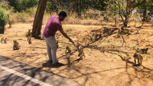  ರಾಮನಗರ; ಹಸಿವಿನಿಂದ ಕಂಗಾಲಾದ ಮೂಕ ಪ್ರಾಣಿಗಳಿಗೂ ಆಹಾರ