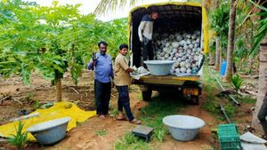 ಬೇರೆ ರಾಜ್ಯಕ್ಕೆ ಹಣ್ಣು, ತರಕಾರಿ; ಹಾವೇರಿ ರೈತರ ಮೊಗದಲ್ಲಿ ಮಂದಹಾಸ 