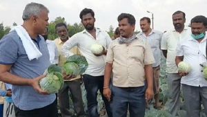 ರೈತರಿಂದ ನೇರ ಬೆಳೆ ಖರೀದಿಸಿ, ತಮ್ಮ ಕ್ಷೇತ್ರಕ್ಕೆ ಹಂಚುತ್ತಿರುವ ಮಾಲೂರು ಶಾಸಕ